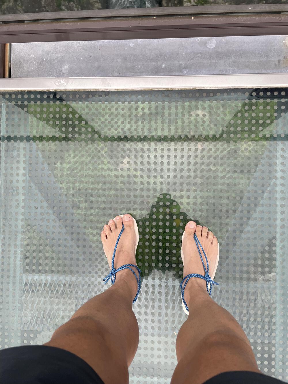 日が昇る場所🌅日向　贅沢ランの写真7