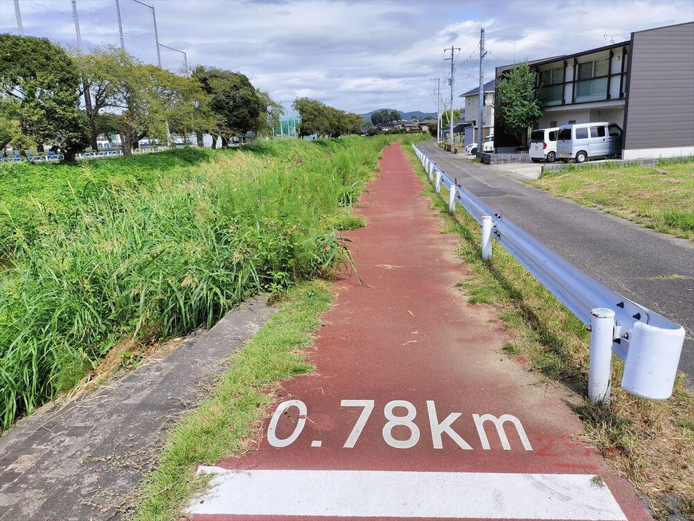 山吹運動公園から源氏川の彼岸花を眺めにの写真3