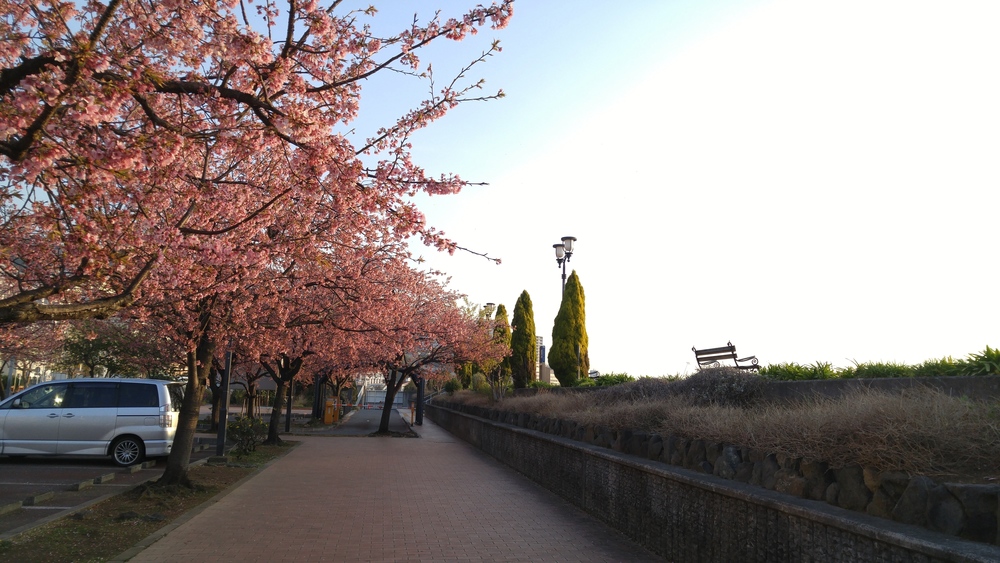 熱海の定番・海沿いのお散歩ランの写真3