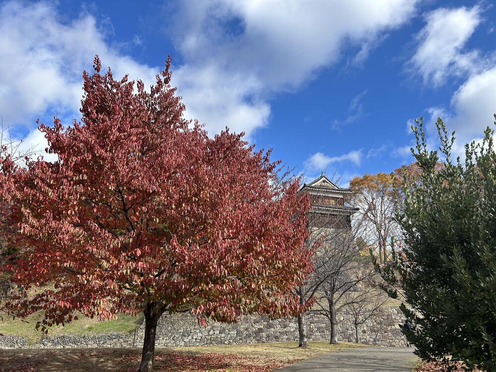 城攻めRUN 旧北国街道で上田城から小諸城20kの写真3