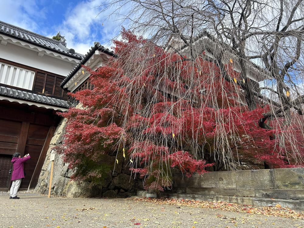 城攻めRUN 旧北国街道で上田城から小諸城20kの写真6