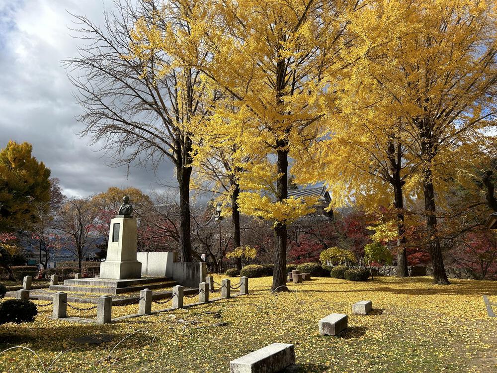 城攻めRUN 旧北国街道で上田城から小諸城20kの写真7