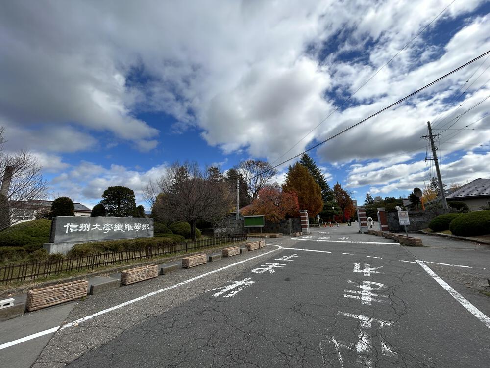 城攻めRUN 旧北国街道で上田城から小諸城20kの写真21