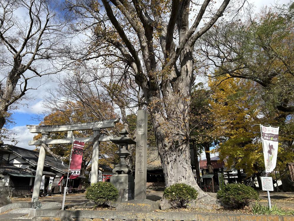 城攻めRUN 旧北国街道で上田城から小諸城20kの写真38