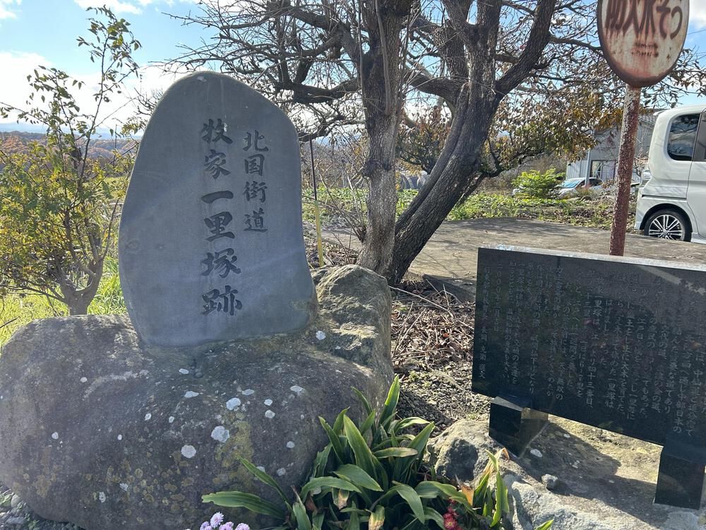 城攻めRUN 旧北国街道で上田城から小諸城20kの写真42