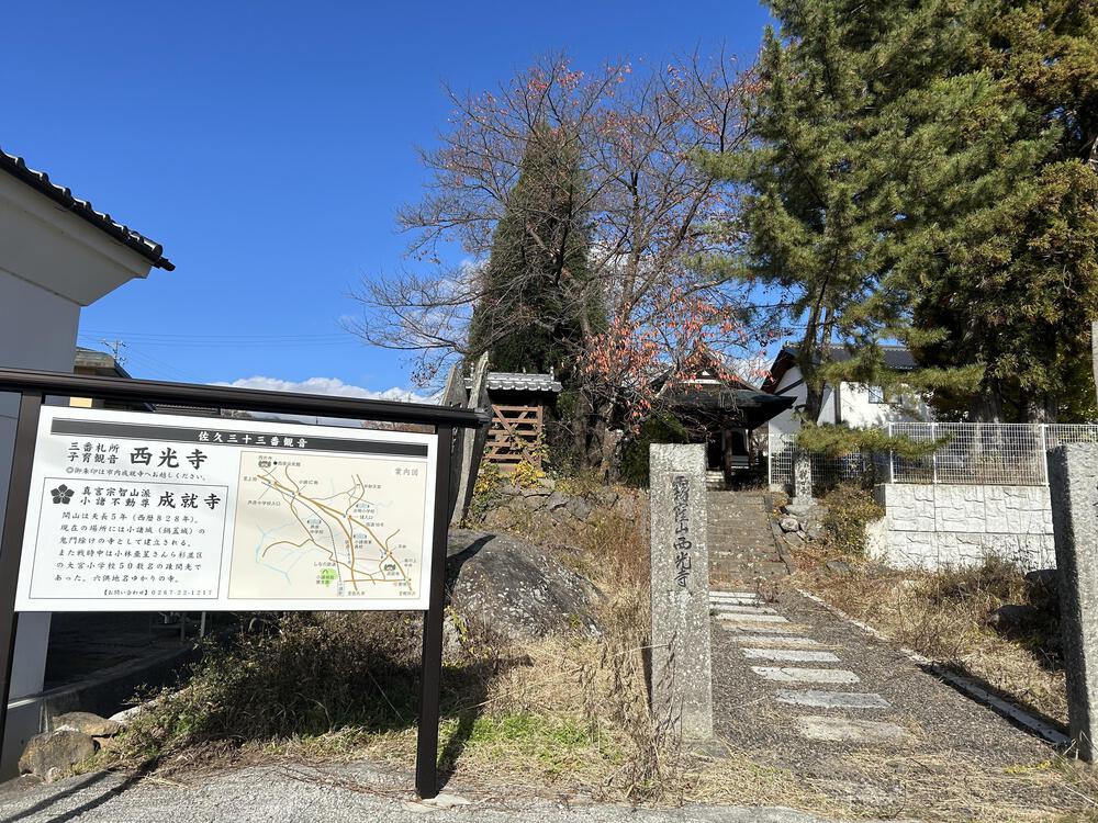 城攻めRUN 旧北国街道で上田城から小諸城20kの写真45