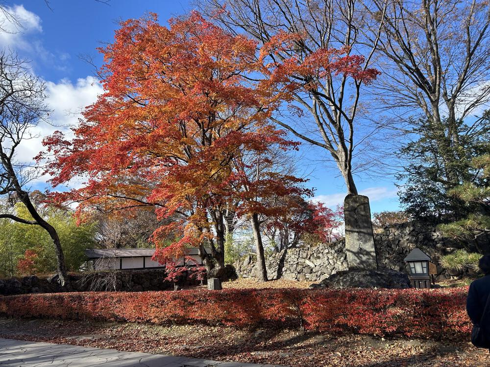 城攻めRUN 旧北国街道で上田城から小諸城20kの写真51