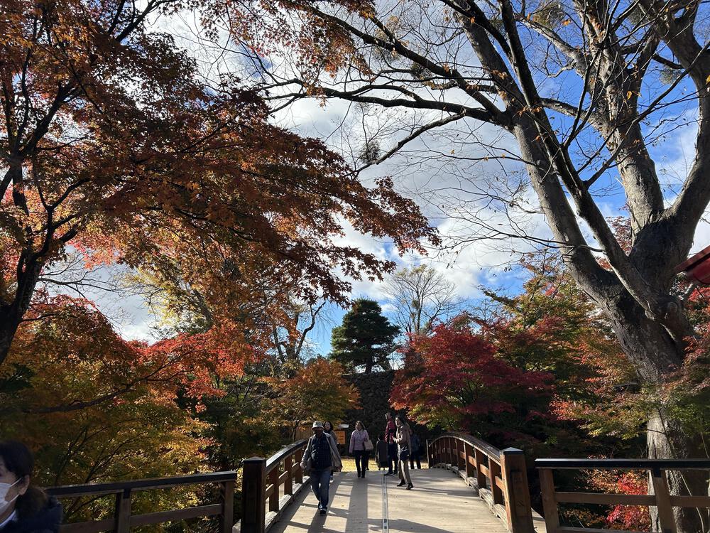 城攻めRUN 旧北国街道で上田城から小諸城20kの写真52