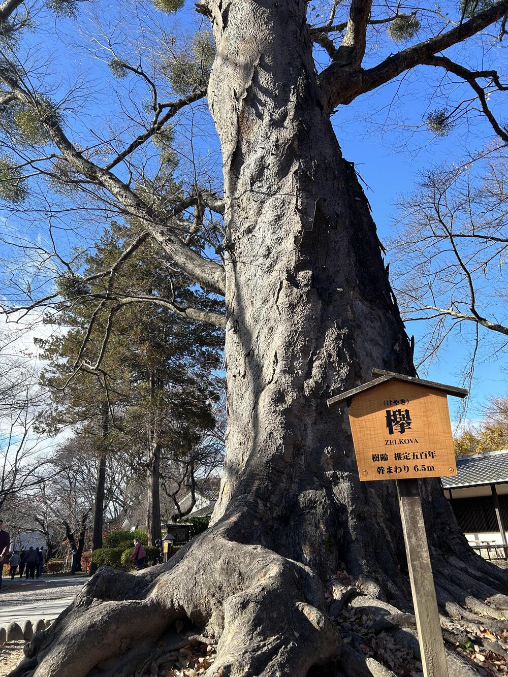 城攻めRUN 旧北国街道で上田城から小諸城20kの写真55