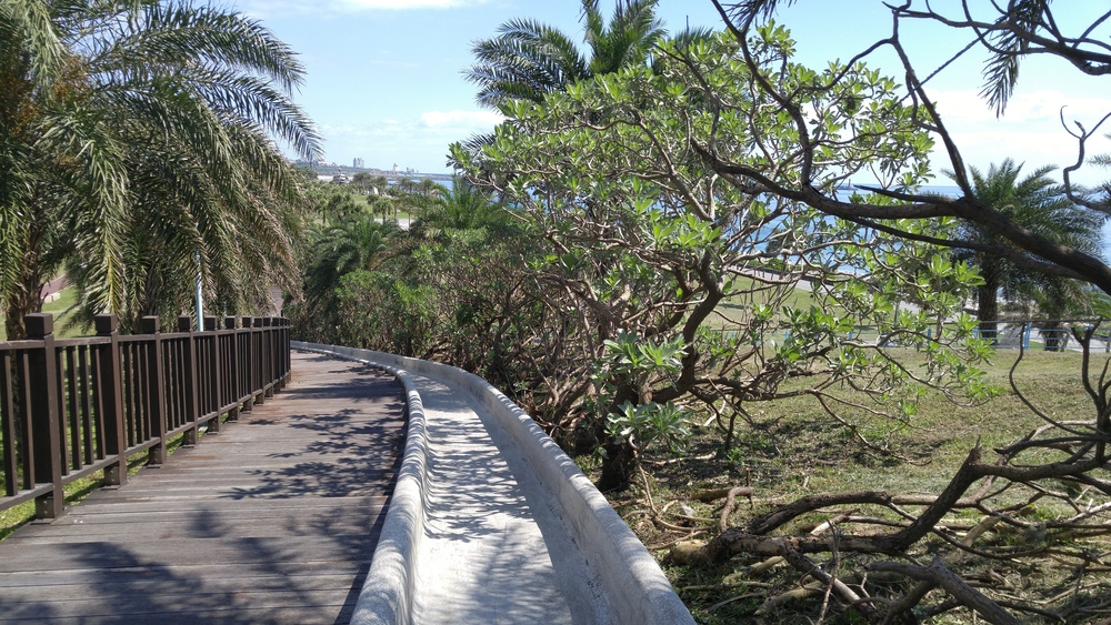大地震のあった花蓮（台湾）で太平洋を見にいくの写真6