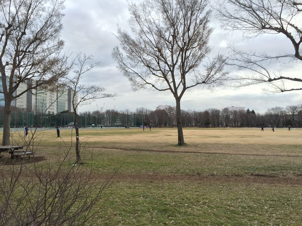 武蔵野中央公園　足に優しい1㎞コースの写真3