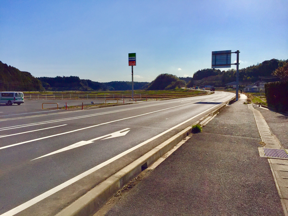 小見川城山公園の桜と周辺のお花見ランの写真3