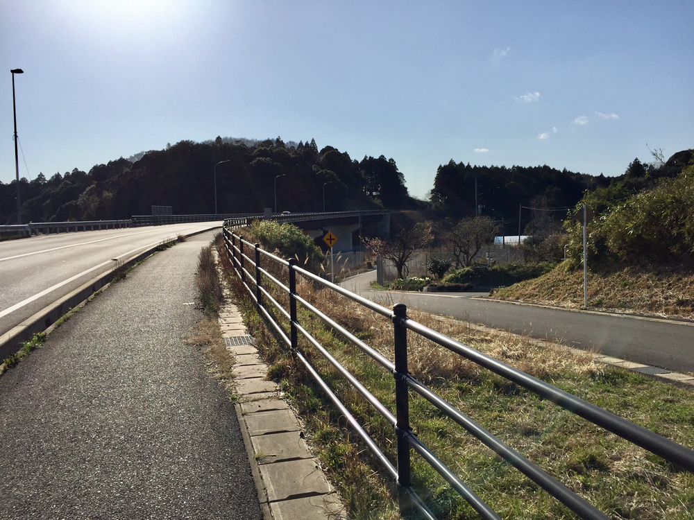 小見川城山公園の桜と周辺のお花見ランの写真4