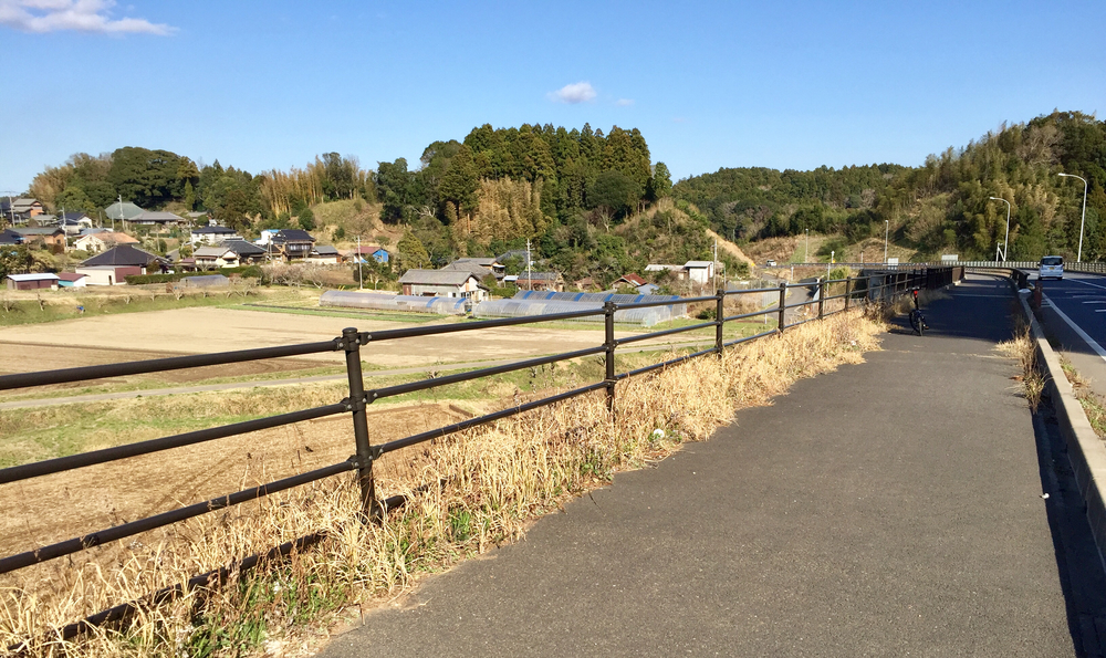 小見川城山公園の桜と周辺のお花見ランの写真5