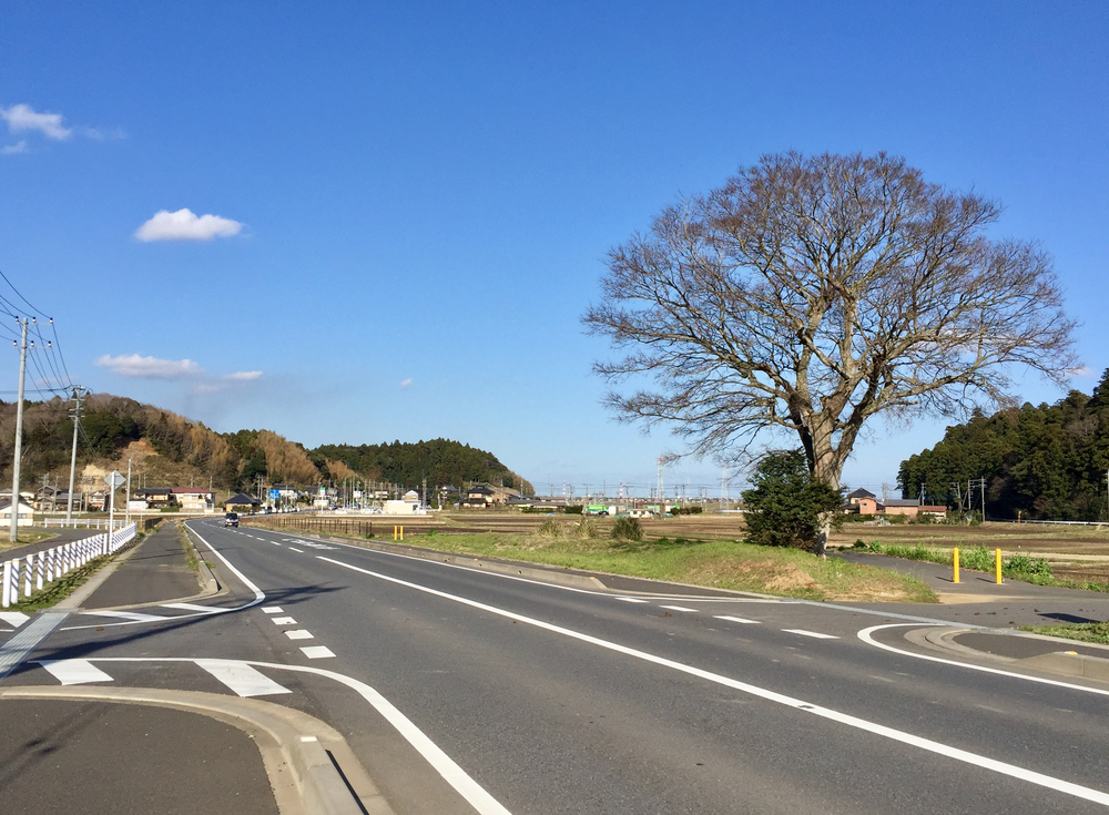 小見川城山公園の桜と周辺のお花見ランの写真6