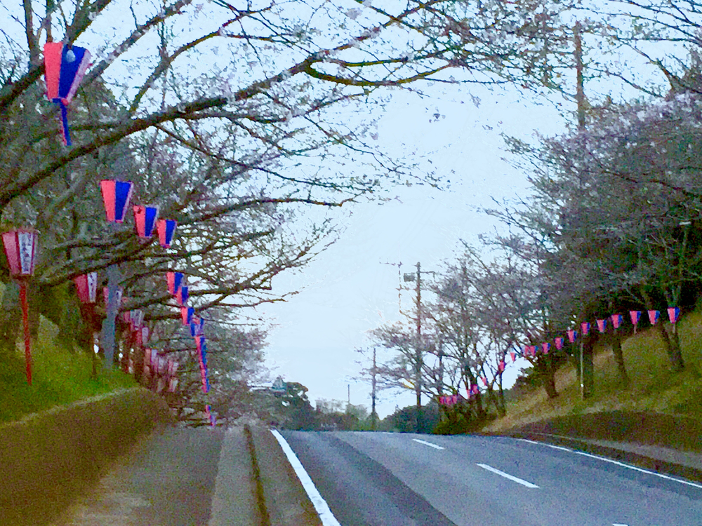 小見川城山公園の桜と周辺のお花見ランの写真7