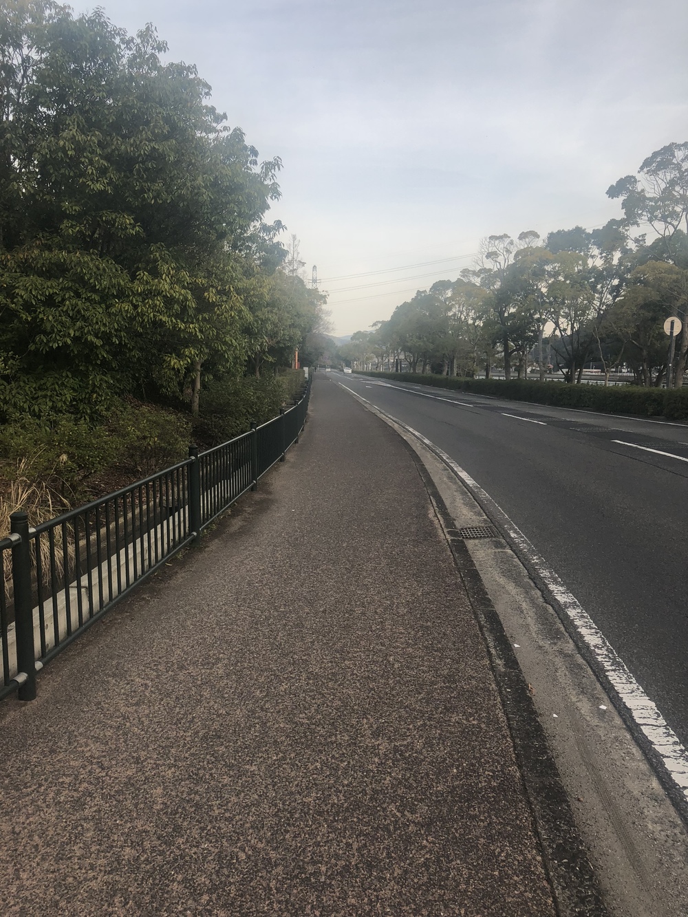 ローレライ→針尾橋→ハウステンボスの写真8