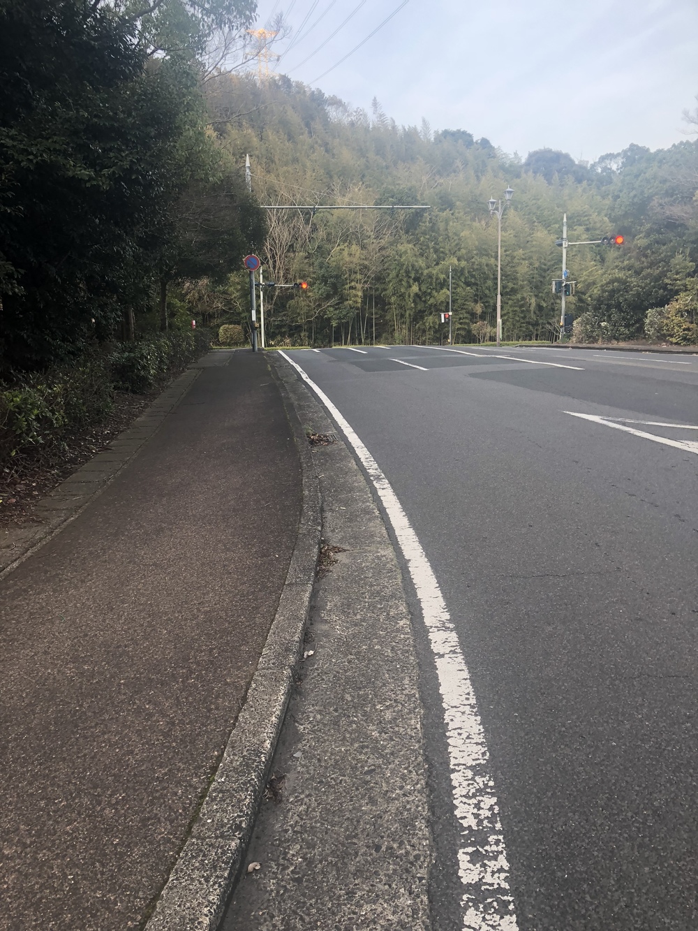 ローレライ→針尾橋→ハウステンボスの写真9
