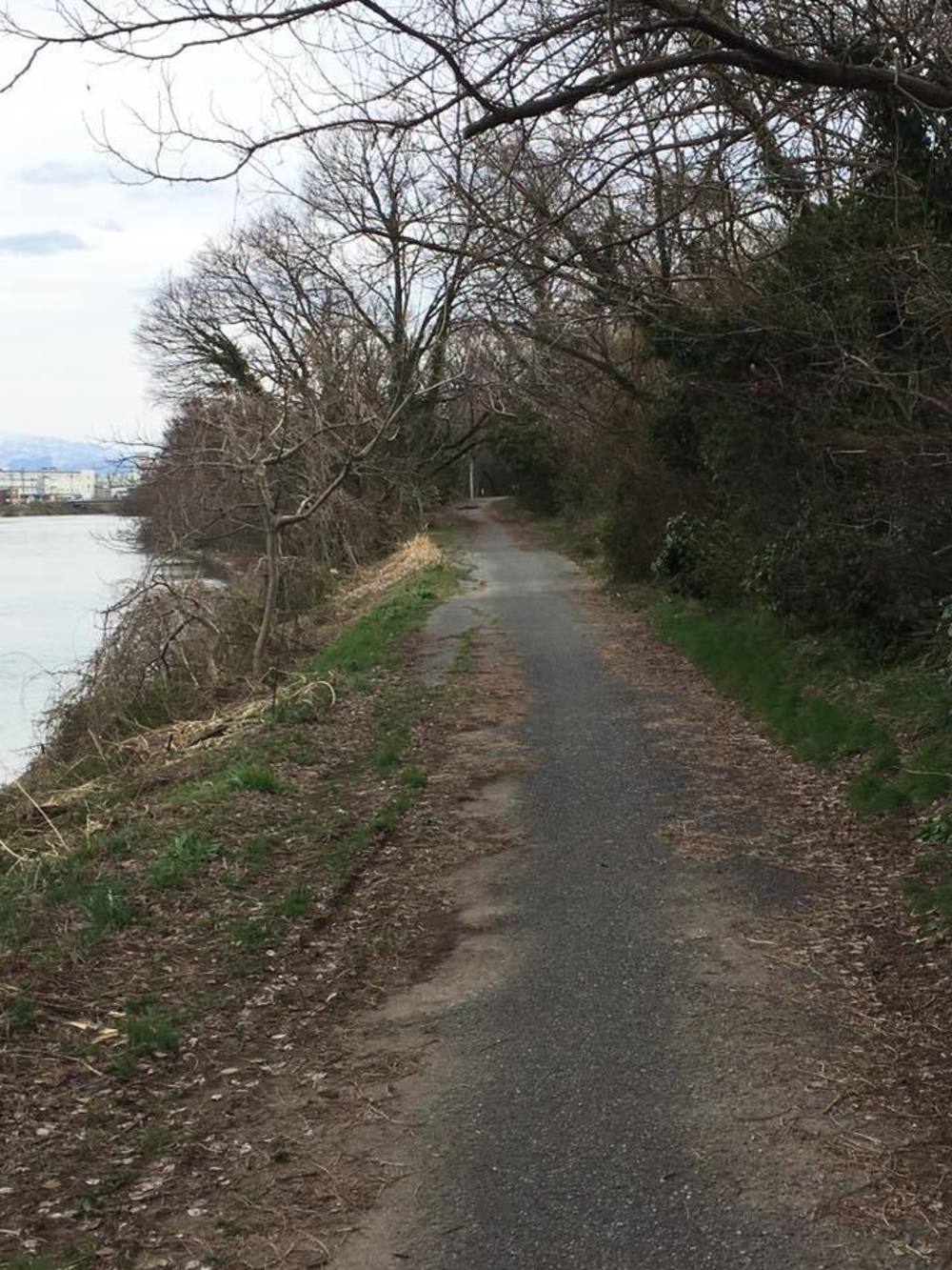 潮風を感じながら走れるほぼフラットコース10キロ【コースアレンジ可】の写真4