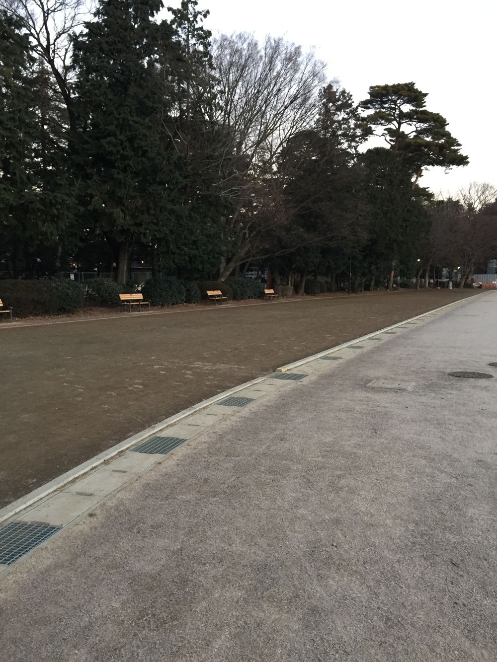 ランナーの聖地井の頭公園　池周り1，6㎞等の写真3