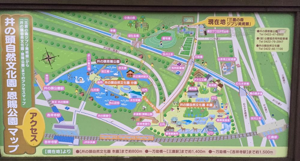ランナーの聖地井の頭公園　池周り1，6㎞等の写真4