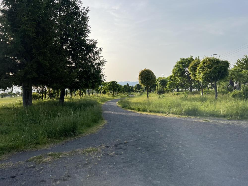 青い森セントラルパーク周回コースの写真3