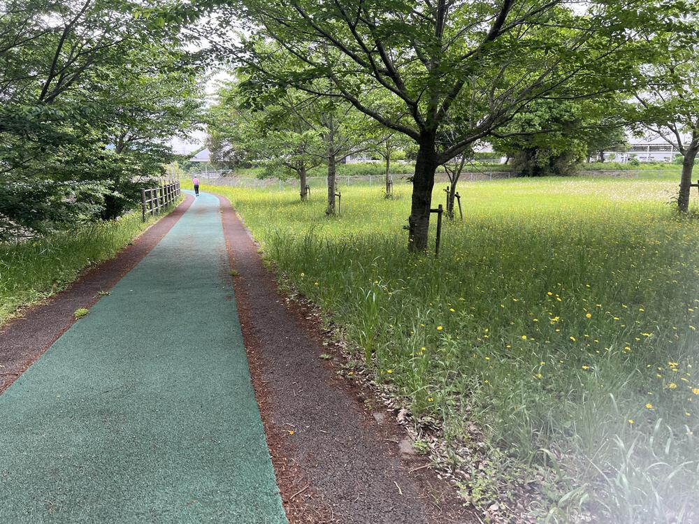 つくばウェルネスパーク周回コースの写真3