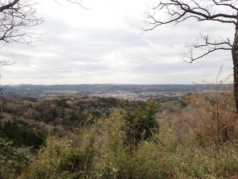 癒しの森「市原米沢の森」の写真7