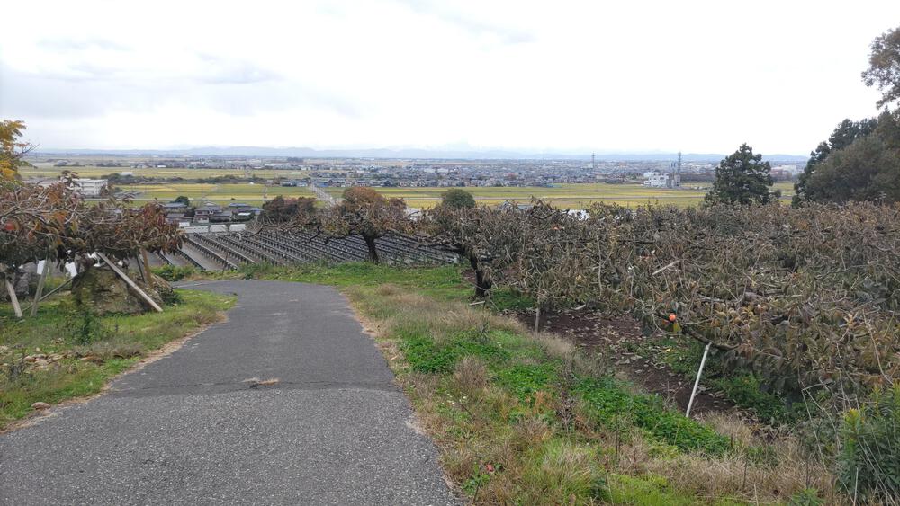 上堰潟公園からニ箇堤、柿団地と巡る、約１０ｋｍのコース。の写真3