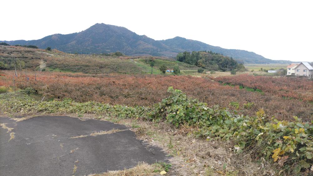 上堰潟公園からニ箇堤、柿団地と巡る、約１０ｋｍのコース。の写真5