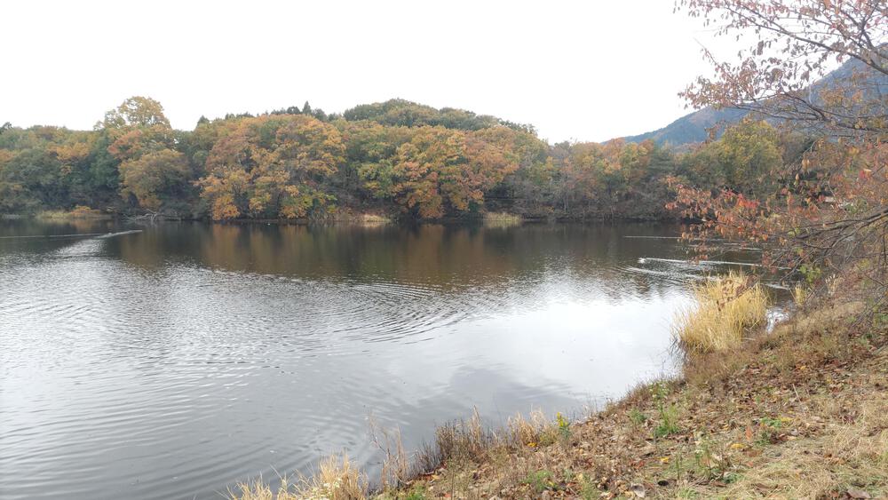 上堰潟公園からニ箇堤、柿団地と巡る、約１０ｋｍのコース。の写真6