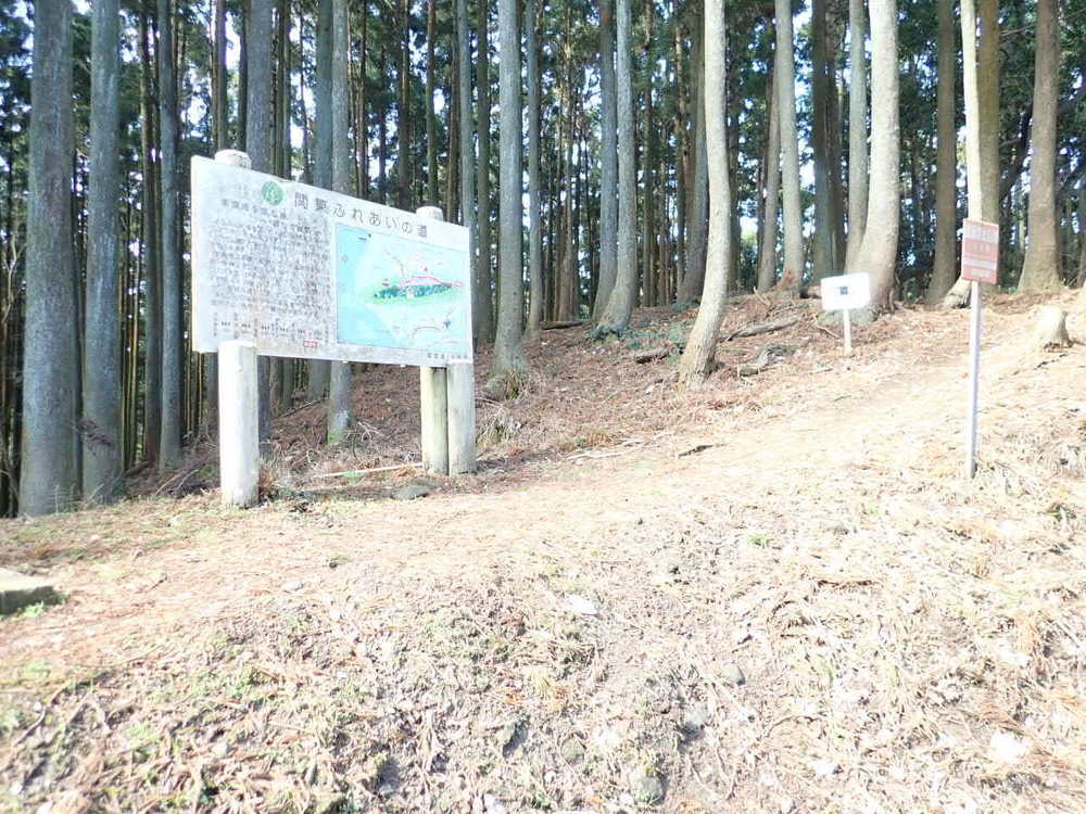 海抜0mからのスタート！　裏鋸山コースの写真4