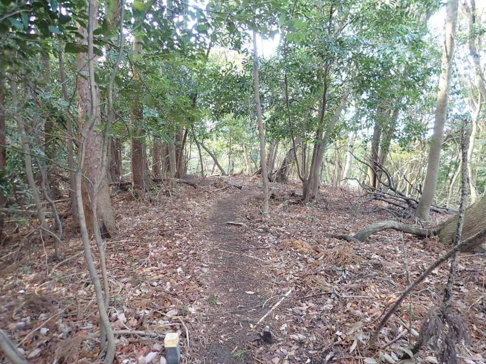 海抜0mからのスタート！　裏鋸山コースの写真5