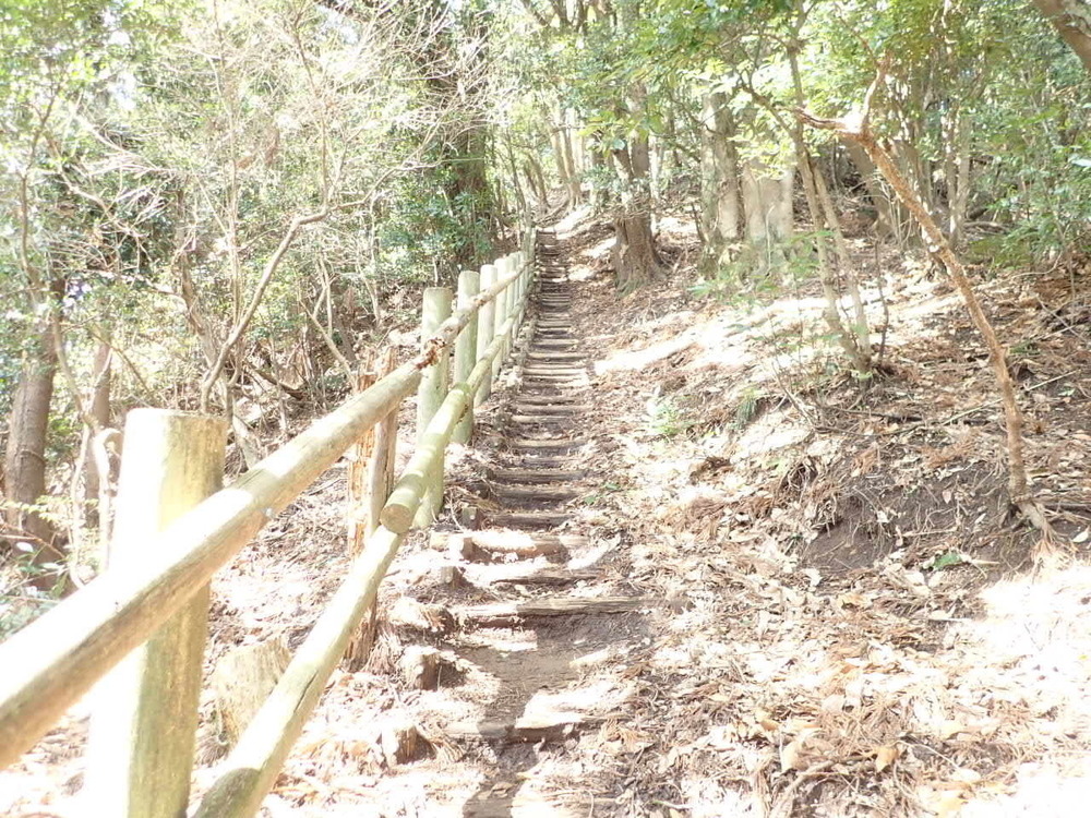 海抜0mからのスタート！　裏鋸山コースの写真7