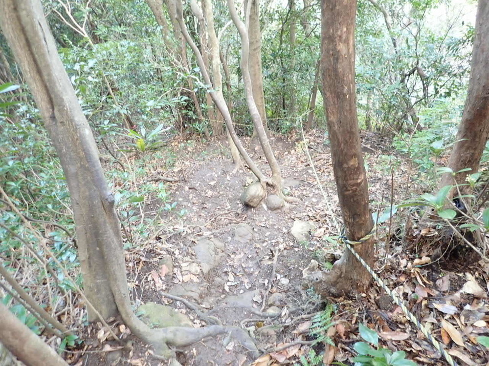 海抜0mからのスタート！　裏鋸山コースの写真8