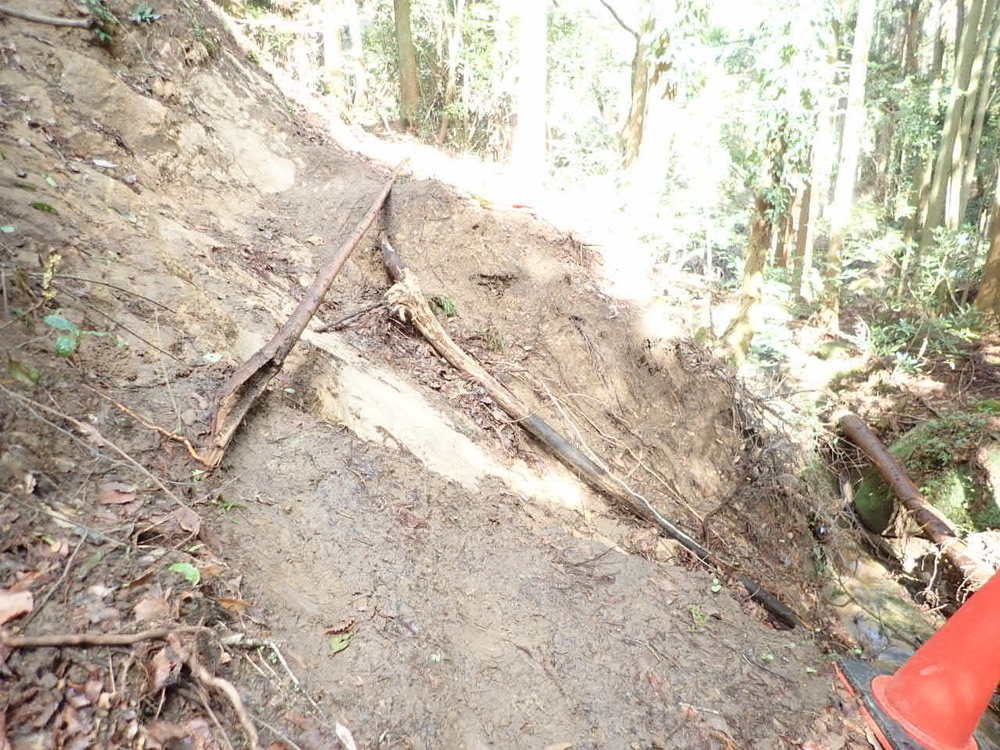 海抜0mからのスタート！　裏鋸山コースの写真9