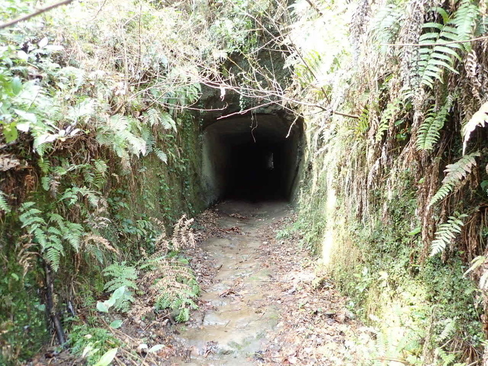 海抜0mからのスタート！　裏鋸山コースの写真10