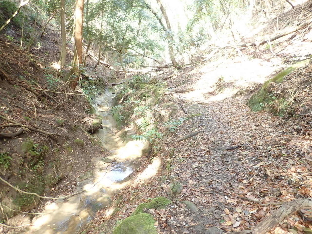 海抜0mからのスタート！　裏鋸山コースの写真11