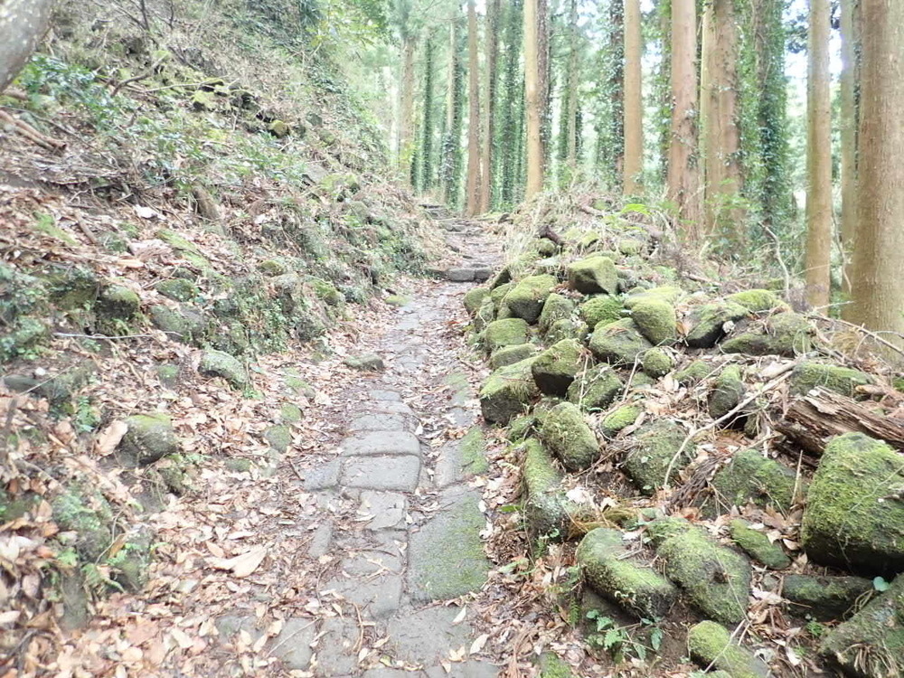 海抜0mからのスタート！　裏鋸山コースの写真12