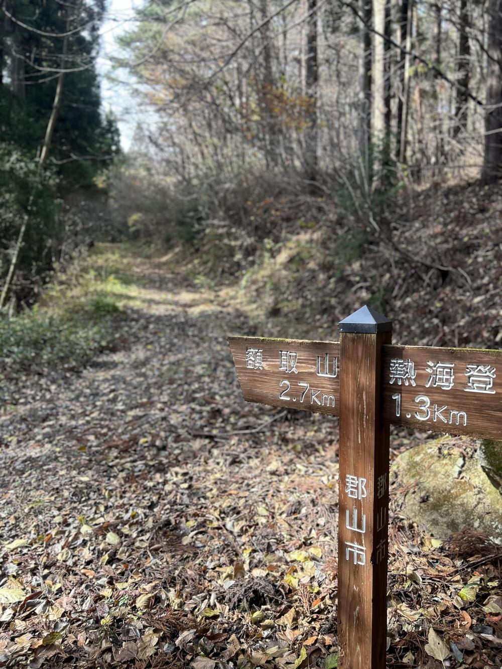 斜度30度越えの急登とふかふかトレイルの写真3