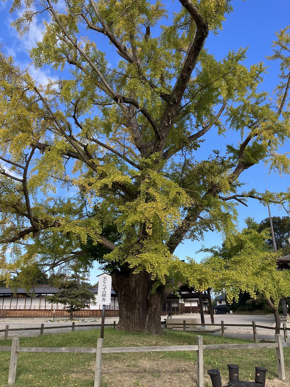 富山の駅巡り　JR氷見線その2の写真5
