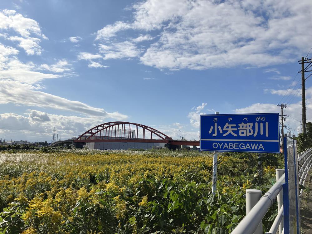 富山の駅巡り　JR氷見線その2の写真17
