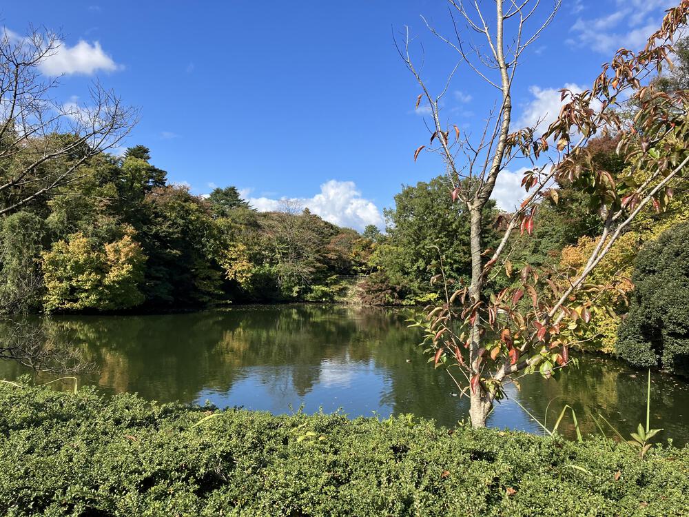 富山の駅巡り　JR氷見線その2の写真24