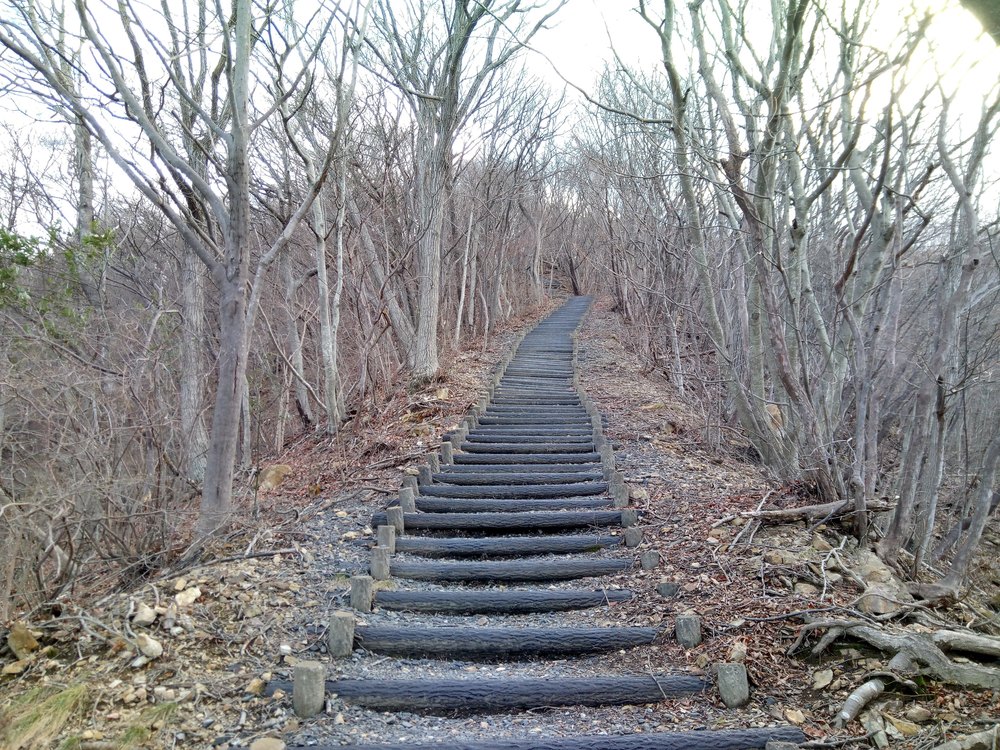 赤城・榛名・妙義・浅間を一望できる絶景牛伏山トレイルランニングの写真3