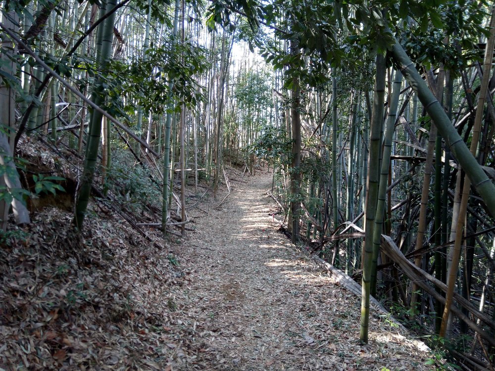 赤城・榛名・妙義・浅間を一望できる絶景牛伏山トレイルランニングの写真5