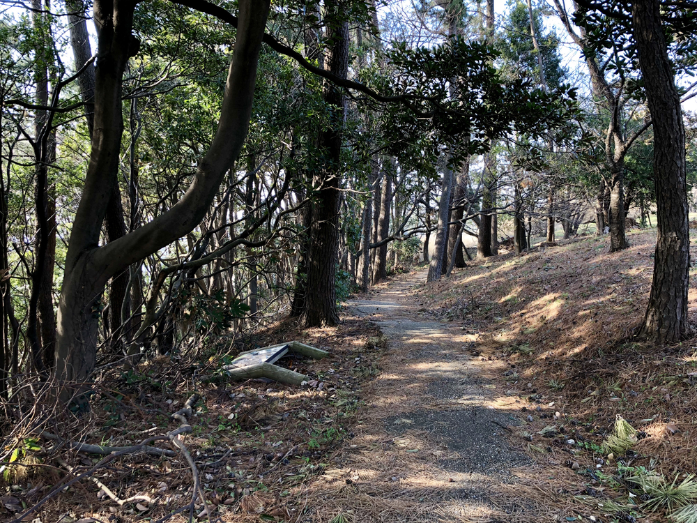 東尋坊ぐるっと周遊ランの写真3