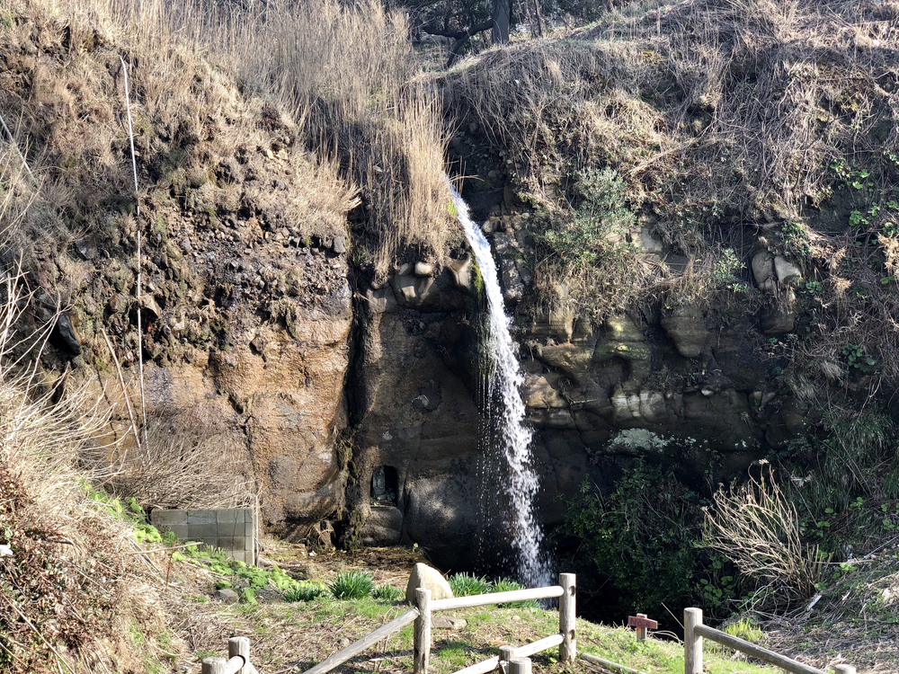 東尋坊ぐるっと周遊ランの写真4