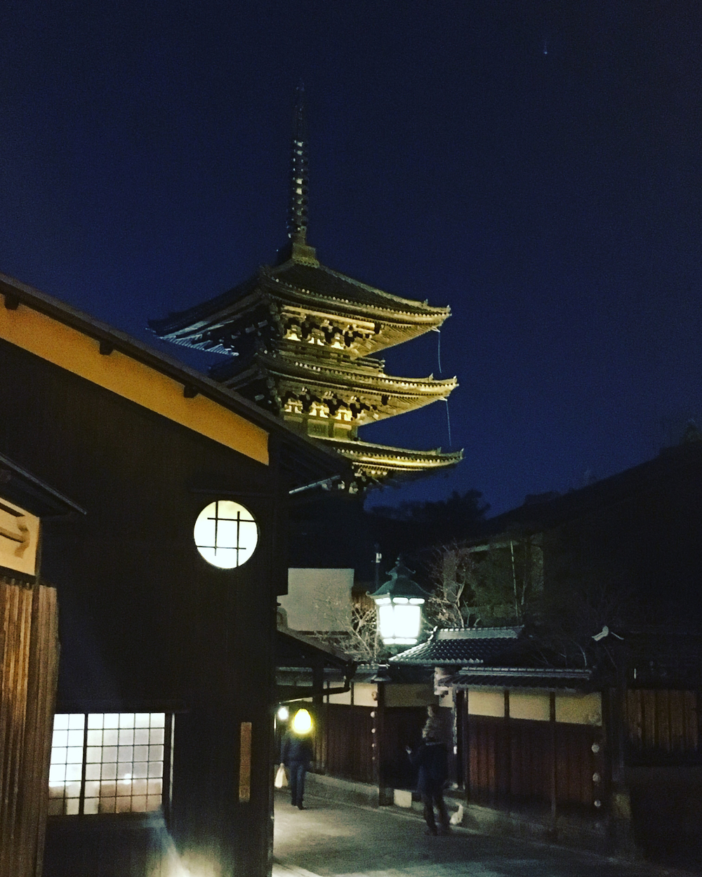 出張ラン 京都市 京の夜桜 ナイトラン 10kmの写真3