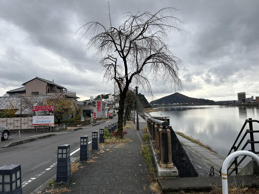 城攻めRUN 犬山城から清洲会議を経て名古屋城への写真4