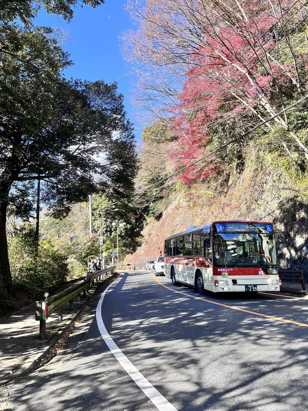 国道１号線⛰️箱根湯本🍡〜芦ノ湖🏃🏻‍♀️の写真3